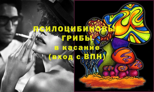 молекула духа Киреевск