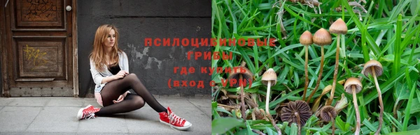марихуана Абинск