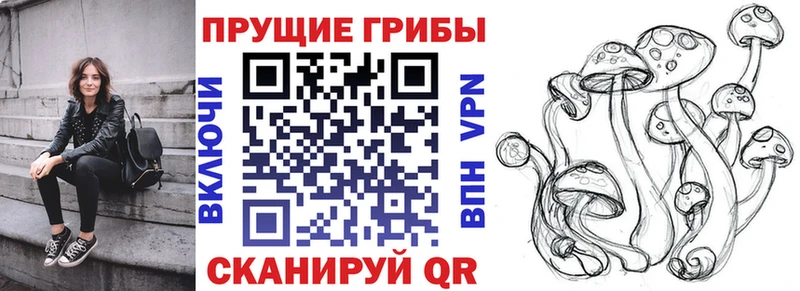mega ССЫЛКА  Новая Усмань  Псилоцибиновые грибы MAGIC MUSHROOMS  магазин  наркотиков 
